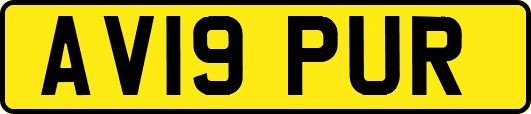 AV19PUR