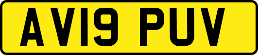 AV19PUV