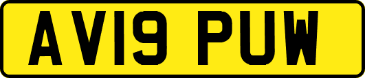 AV19PUW