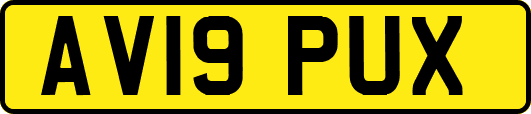 AV19PUX