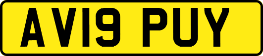 AV19PUY