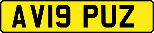 AV19PUZ