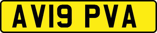 AV19PVA