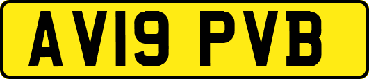 AV19PVB