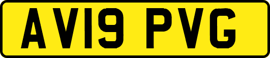 AV19PVG