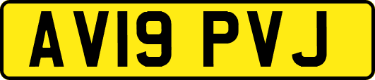 AV19PVJ
