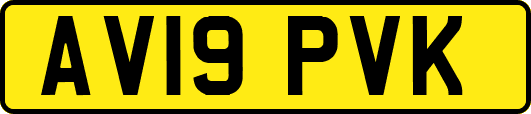 AV19PVK