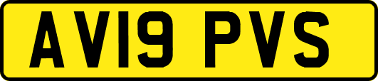 AV19PVS