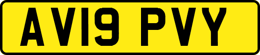 AV19PVY