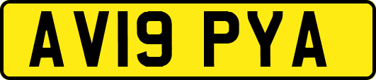 AV19PYA