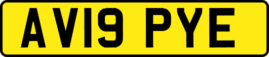 AV19PYE