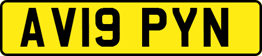 AV19PYN