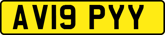 AV19PYY