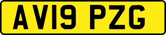 AV19PZG