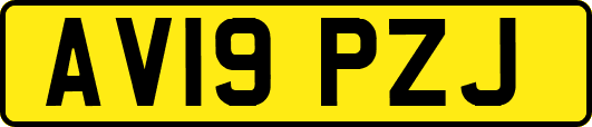 AV19PZJ