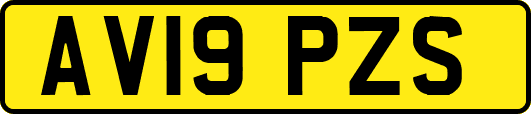 AV19PZS
