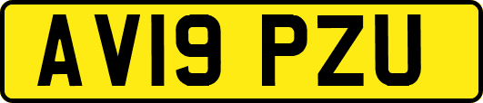 AV19PZU