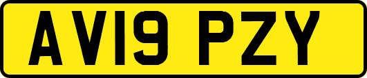 AV19PZY