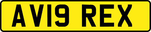 AV19REX