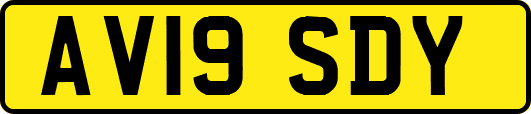 AV19SDY