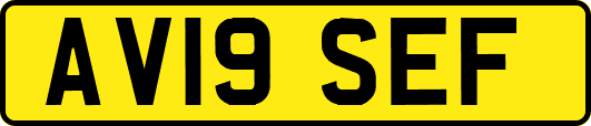AV19SEF