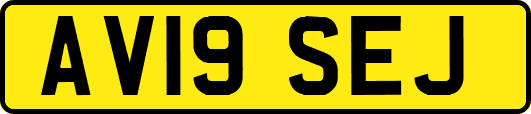 AV19SEJ