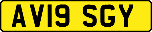 AV19SGY