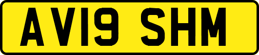 AV19SHM