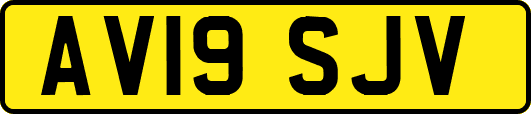 AV19SJV
