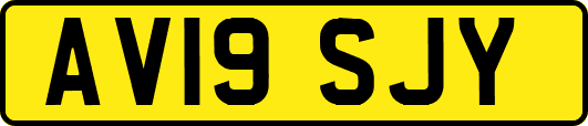 AV19SJY