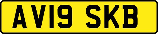 AV19SKB