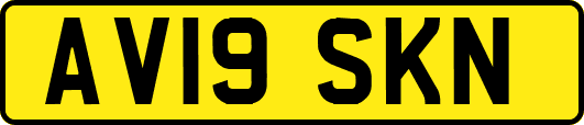 AV19SKN