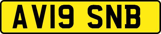 AV19SNB