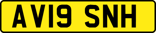 AV19SNH