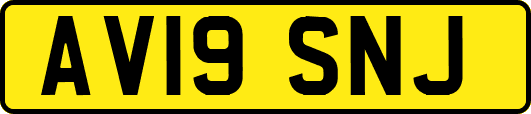 AV19SNJ