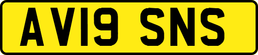 AV19SNS