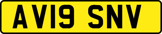 AV19SNV