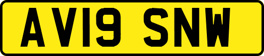 AV19SNW