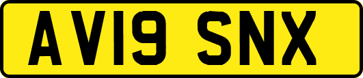 AV19SNX