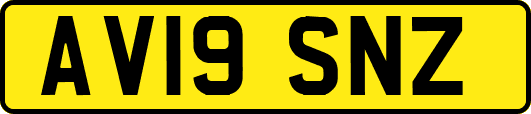 AV19SNZ