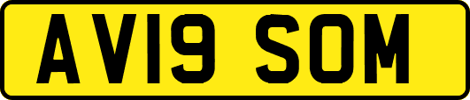 AV19SOM