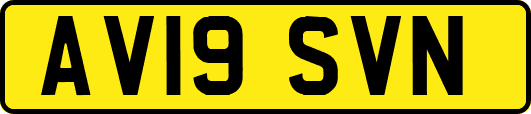 AV19SVN