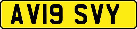 AV19SVY