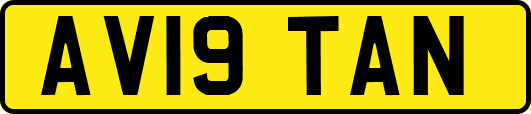 AV19TAN