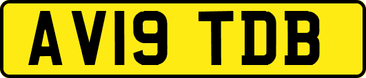 AV19TDB
