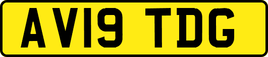 AV19TDG