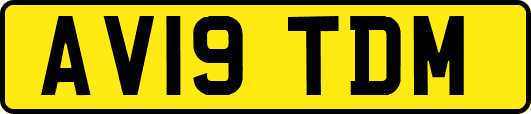 AV19TDM