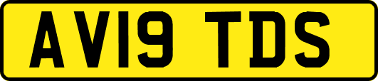 AV19TDS