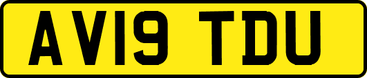 AV19TDU