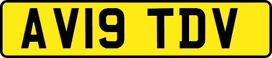 AV19TDV